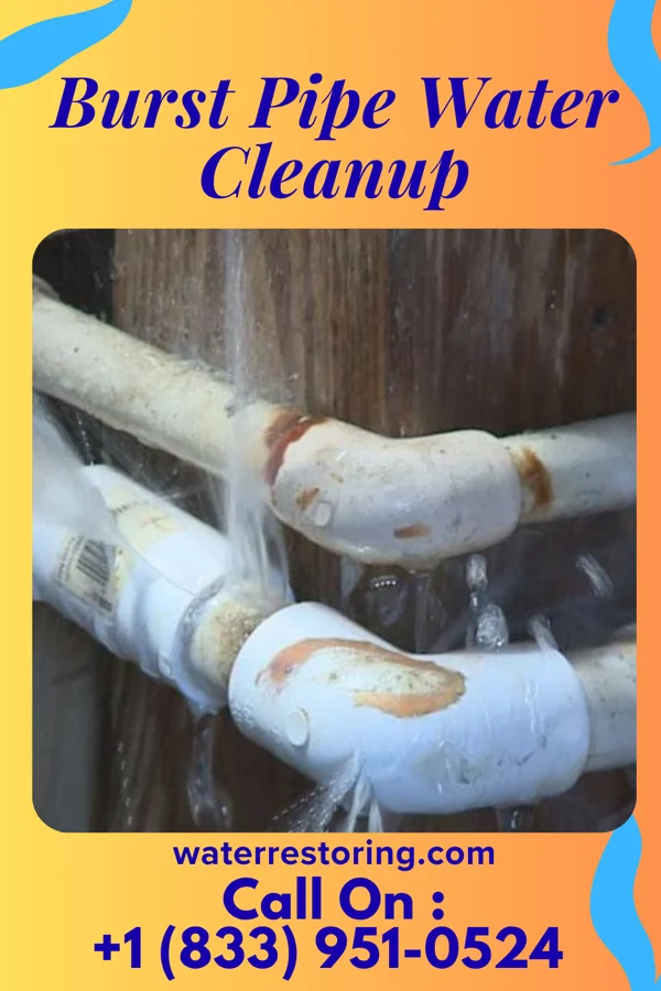 Burst Pipe Water Cleanup in Walton Hills, OH