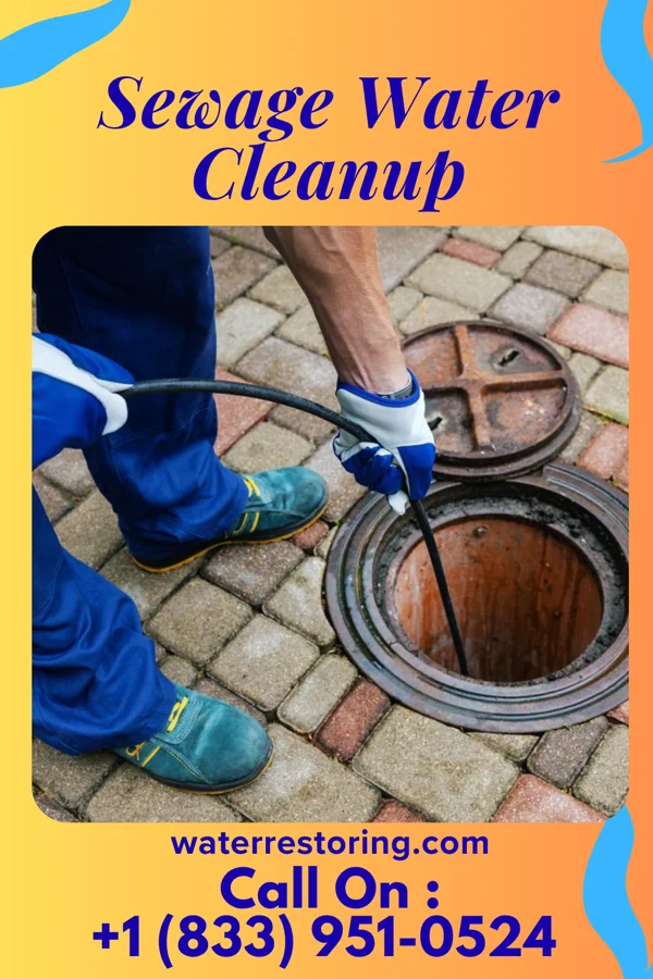Sewage Water Cleanup in Walton Hills, OH