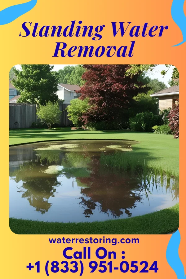 Standing Water Removal in Walton Hills, OH
